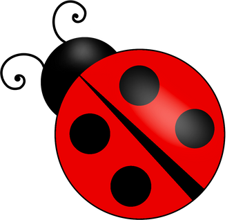 Lady bug